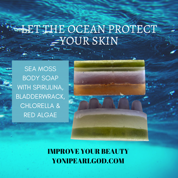 ALGAE LUXE BAR