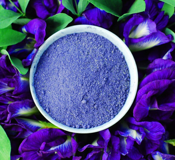 Butterfly Pea Flower n Stem - SEANJARI PREETI WOMB HEALING LLC